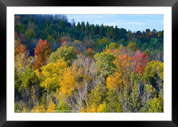 Autumn Colors Shining Bright Framed Mounted Print by Ken Oliver