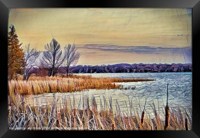 Lakeside Marsh Framed Print by Ken Oliver