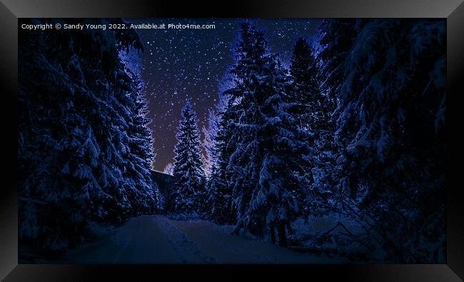 Enchanted Winter Wonderland Framed Print by Sandy Young