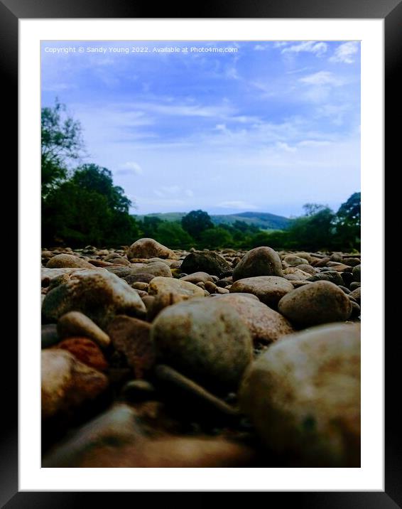 Nature's Jewels Framed Mounted Print by Sandy Young