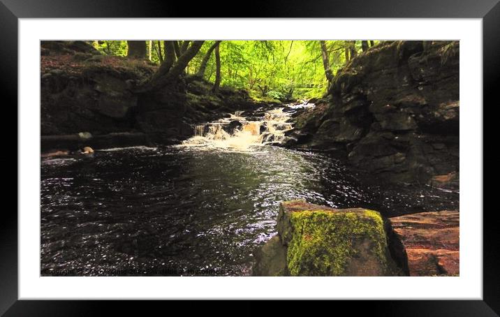 The Birks of Aberfeldy perthshire  Framed Mounted Print by Sandy Young