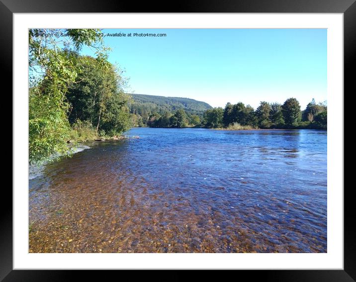 River Tay in sunshine Framed Mounted Print by Sandy Young