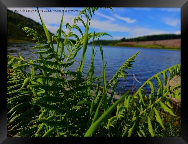 Serenity on Loch Na Craig Framed Print by Sandy Young