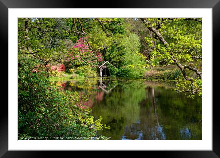 Serene Reflections Framed Mounted Print by Rodney Hutchinson