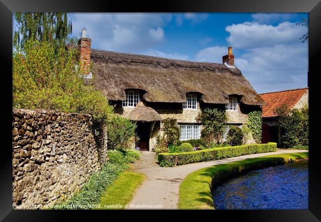 Serenity in a Thatched Cottage Framed Print by Rodney Hutchinson