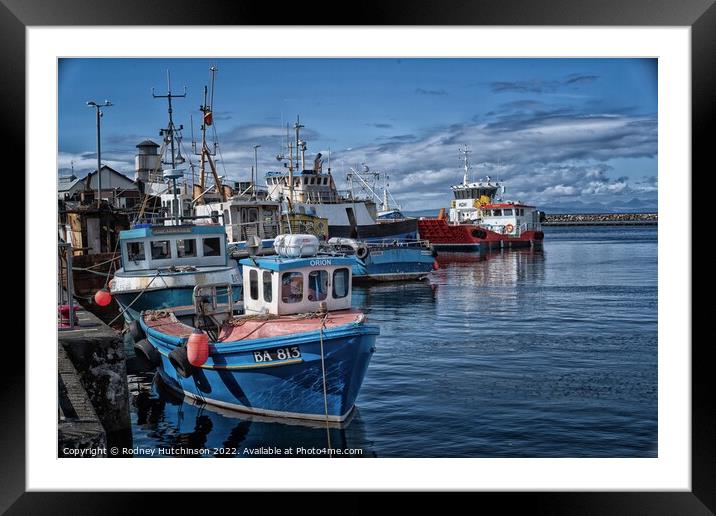 Tranquil Peaceful Waters Framed Mounted Print by Rodney Hutchinson