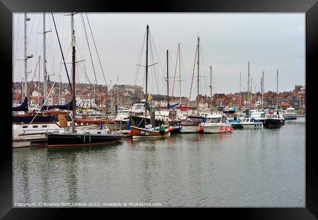 Boats and yachts moored Framed Print by Rodney Hutchinson