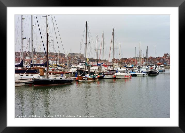 Boats and yachts moored Framed Mounted Print by Rodney Hutchinson
