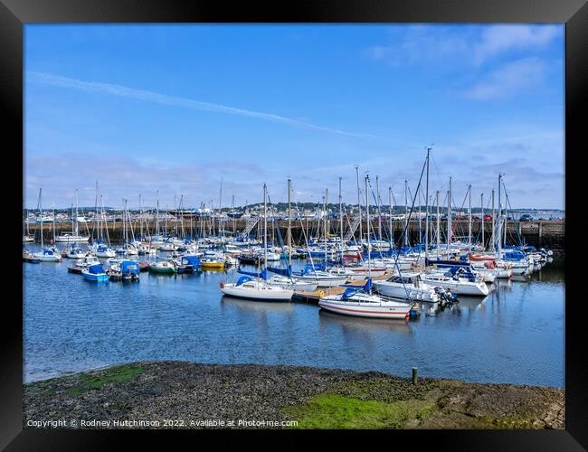 Boat and Yacht's in Tayport Framed Print by Rodney Hutchinson