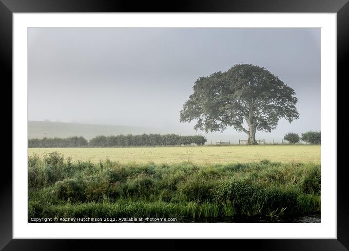 Enchanting Countryside Fog Framed Mounted Print by Rodney Hutchinson