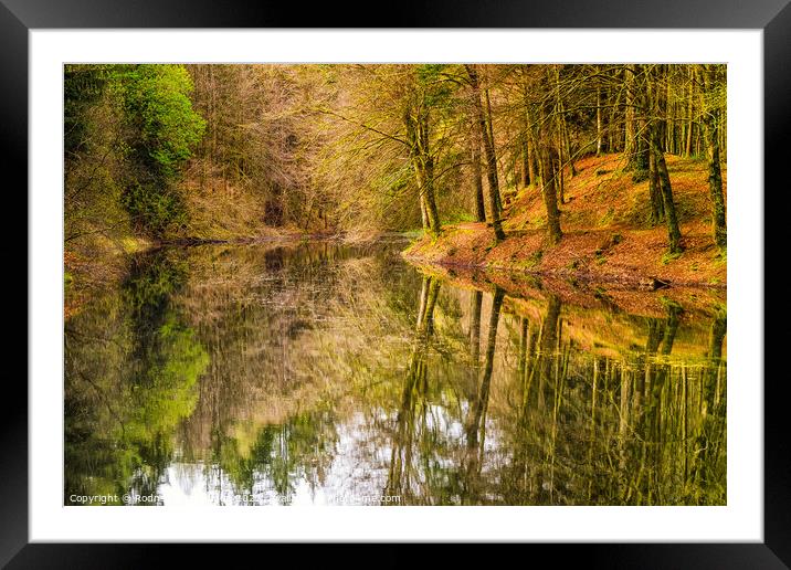 Serene Reflections Framed Mounted Print by Rodney Hutchinson