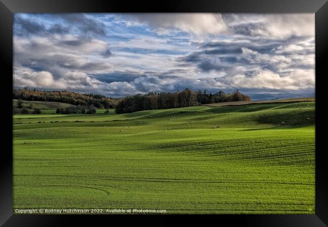 Serene Scottish Countryside Framed Print by Rodney Hutchinson