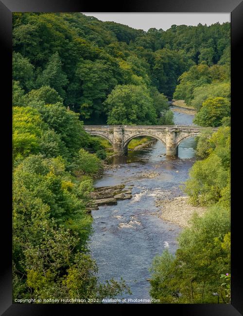 Majestic Beauty of Richmond Bridge Framed Print by Rodney Hutchinson