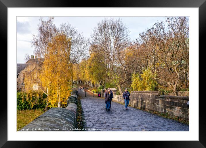 Autumn in Glasgow Framed Mounted Print by Rodney Hutchinson