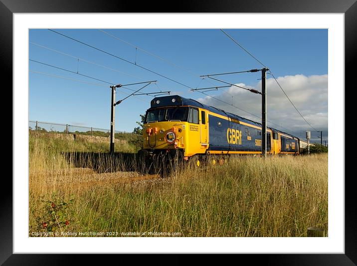 Pair of Class 50's on a special train Framed Mounted Print by Rodney Hutchinson