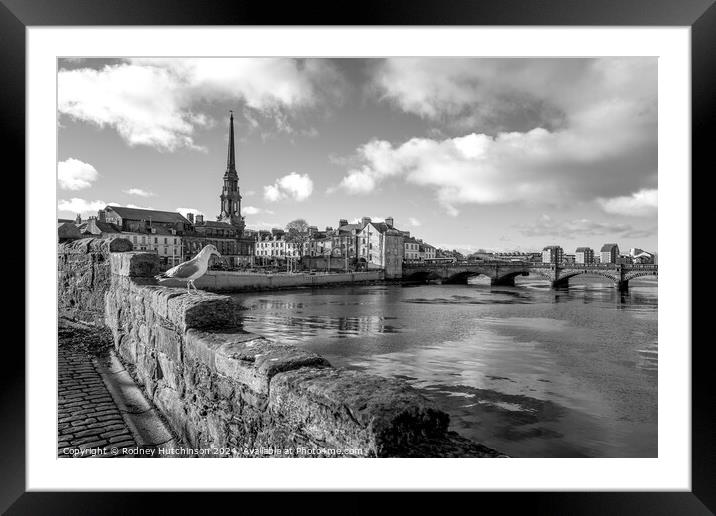 Ayr town view Framed Mounted Print by Rodney Hutchinson
