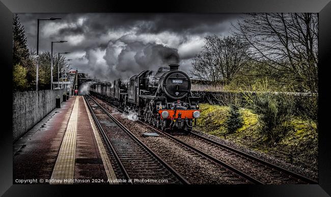 Great Britain XVI steam  rail tour Framed Print by Rodney Hutchinson