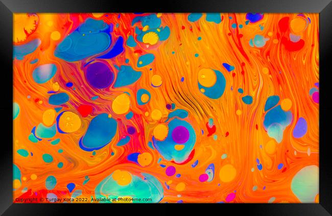 Abstract marbling art patterns  as colorful background Framed Print by Turgay Koca