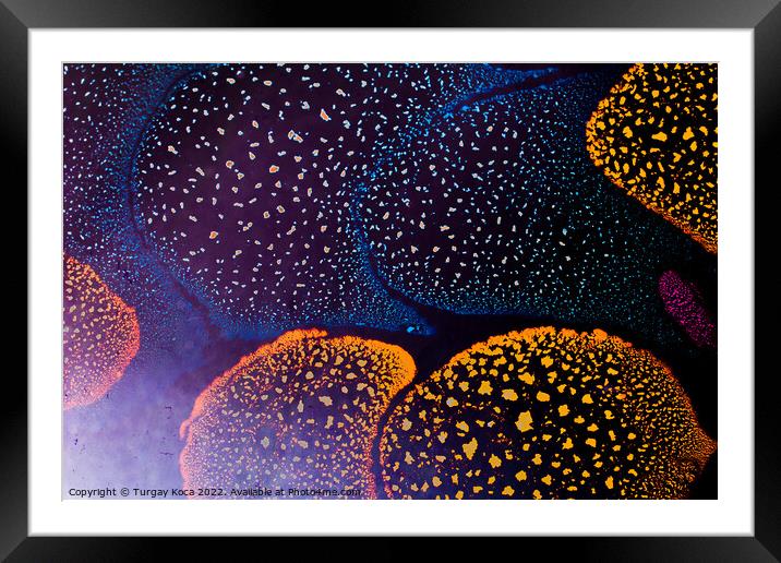 Macro shot of  water-oil emulsion over colored background Framed Mounted Print by Turgay Koca