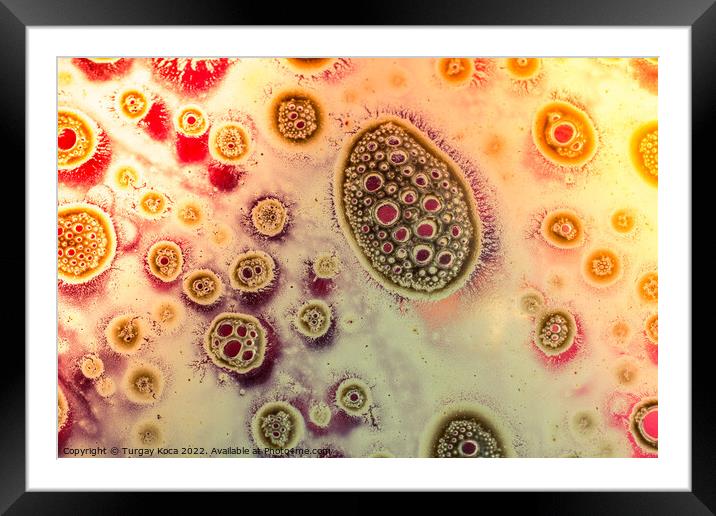 Macro shot of air bubbles over colored background Framed Mounted Print by Turgay Koca