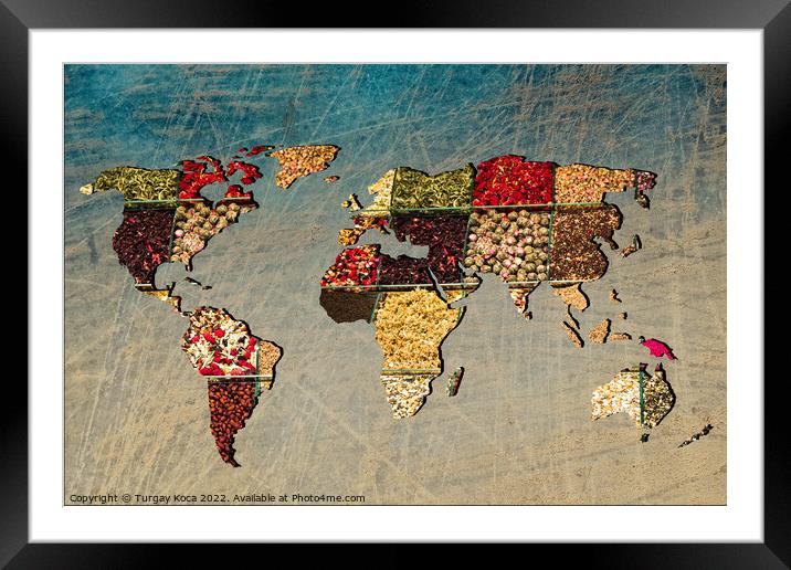 Roughly outlined world map with veraity of spice filling Framed Mounted Print by Turgay Koca