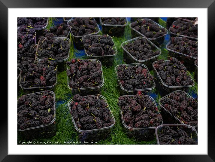 Black mulberries in plastic packages on sale Framed Mounted Print by Turgay Koca