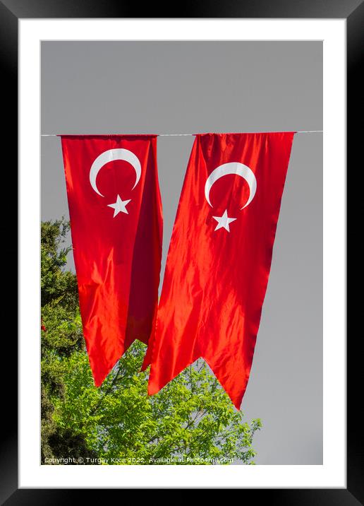 Turkish national flag hang in view in the open air Framed Mounted Print by Turgay Koca