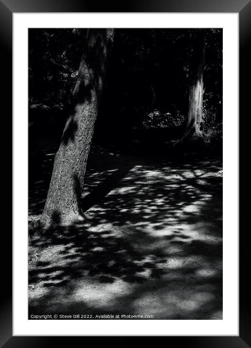 Sunlight Casting Shadows of Tree Foliage on the Ground. Framed Mounted Print by Steve Gill