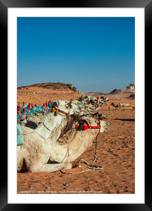 Camels in Egypt Framed Mounted Print by Vassos Kyriacou