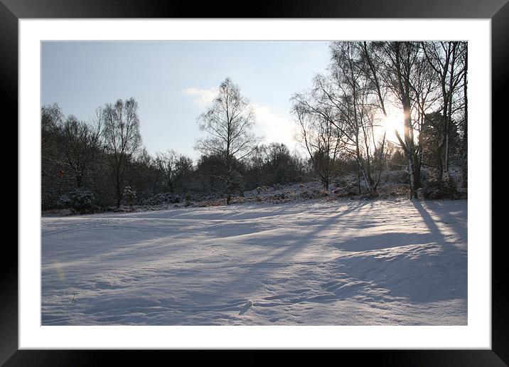 Snowy Ashdown Forest Framed Mounted Print by suzy ainley