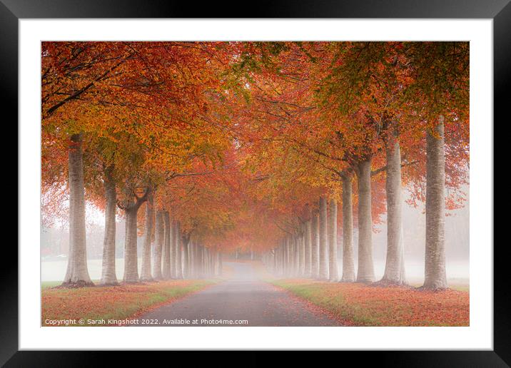 Autumn's Avenue. Framed Mounted Print by Sarah Kingshott