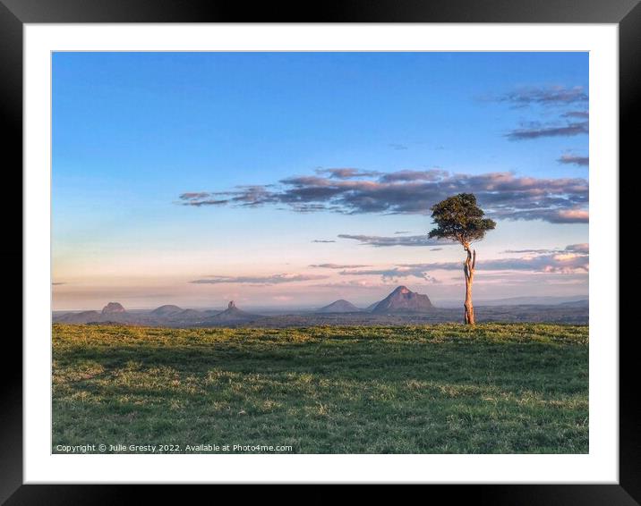 Lone Tree One  Tree Hill Glass House Mountains Que Framed Mounted Print by Julie Gresty