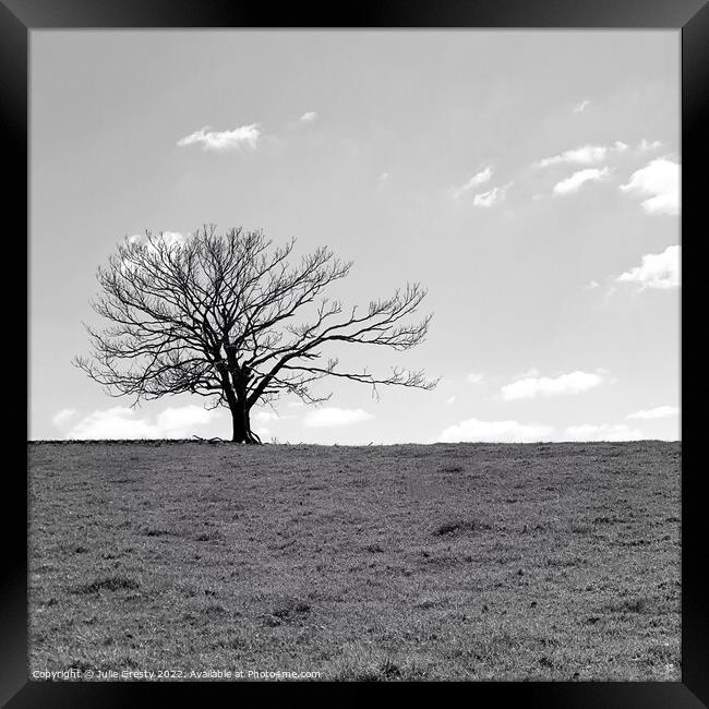 Lone Tree in Winter Black & White Framed Print by Julie Gresty