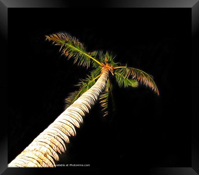 Palm Tree on Black Background Framed Print by Julie Gresty