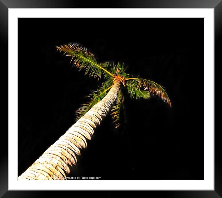Palm Tree on Black Background Framed Mounted Print by Julie Gresty