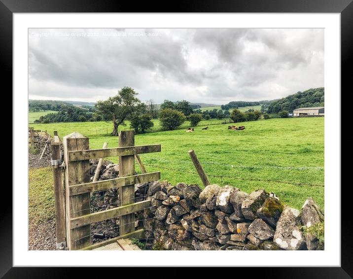 Yorkshire Dales Farm Gate and Drystone Wall Framed Mounted Print by Julie Gresty