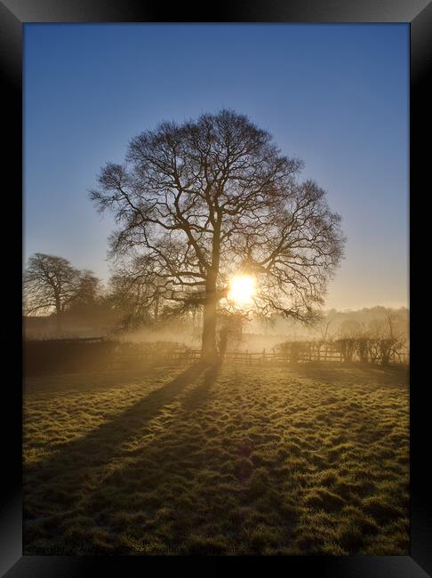 Morning Sunlight  Framed Print by Andy Dean