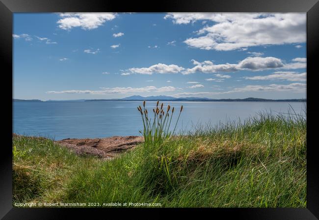 wemyss Bay Shore Rushes Framed Print by RJW Images