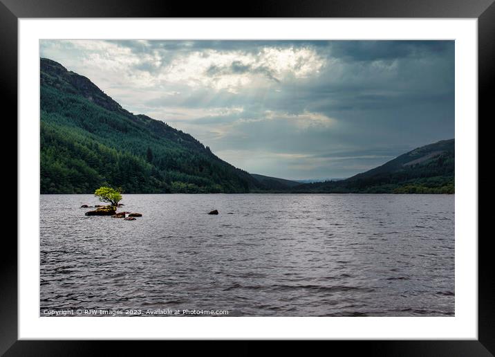 Rooted Solitude on Loch Eck Framed Mounted Print by RJW Images