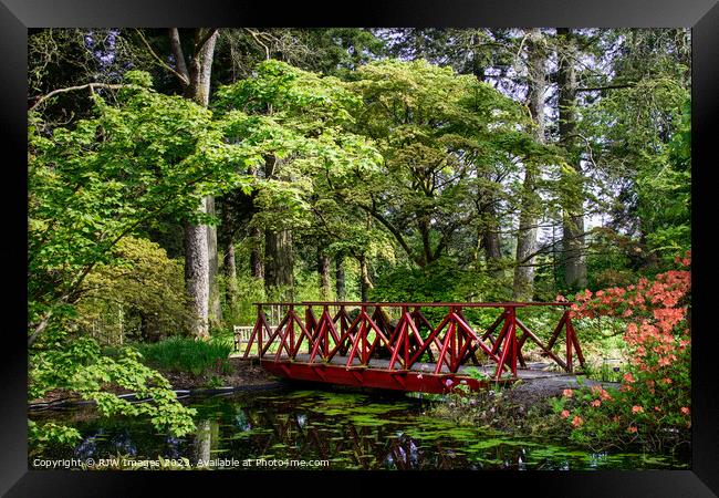 The Pond Benmore Gardens Framed Print by RJW Images