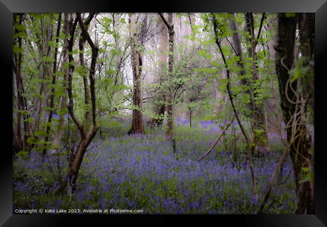 Enchanting Bluebell Woodland Framed Print by Kate Lake