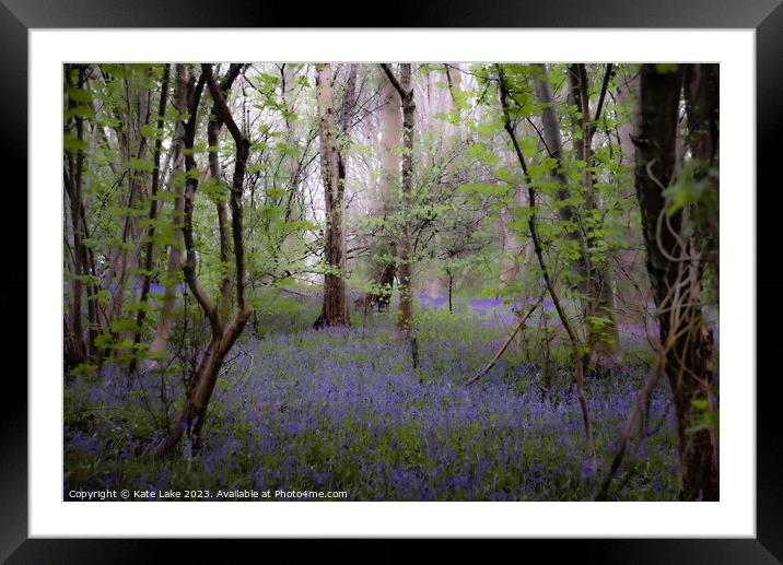 Enchanting Bluebell Woodland Framed Mounted Print by Kate Lake
