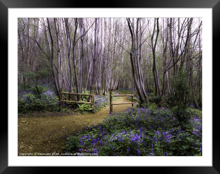 Bluebell Pathway, Scathes Wood, Kent Framed Mounted Print by Kate Lake