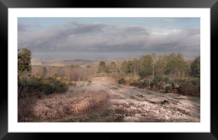 Ashdown Forest Vista Framed Mounted Print by Kate Lake