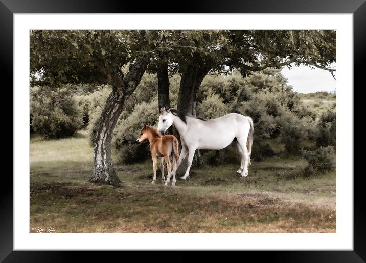 New Forest Mare and Foal Framed Mounted Print by Kate Lake