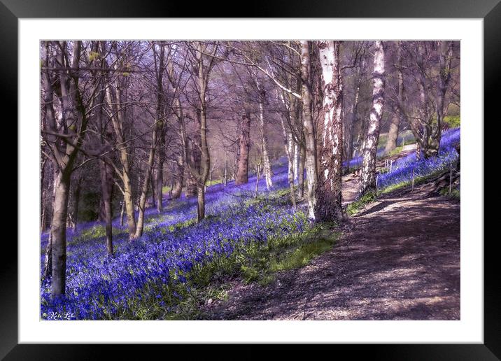 Bluebell Slope Walkway Framed Mounted Print by Kate Lake
