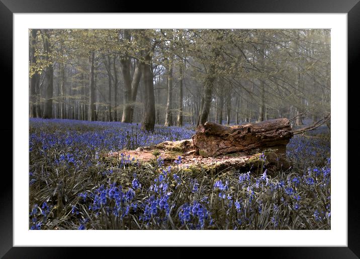 Bluebells and Fallen Tree Trunk Framed Mounted Print by Kate Lake