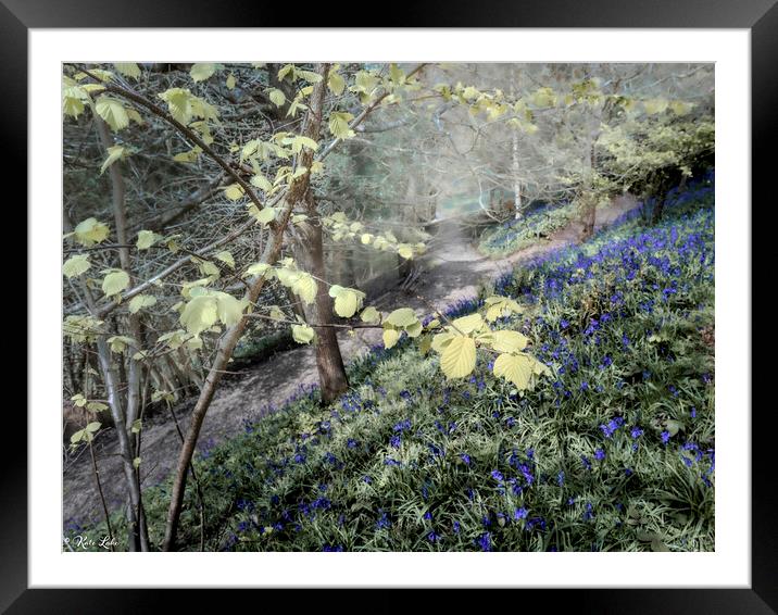 Beech Leaves and Bluebells Framed Mounted Print by Kate Lake
