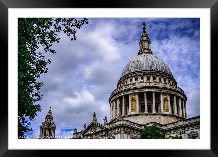 St Paul's Cathedral Framed Mounted Print by Anton Cooke