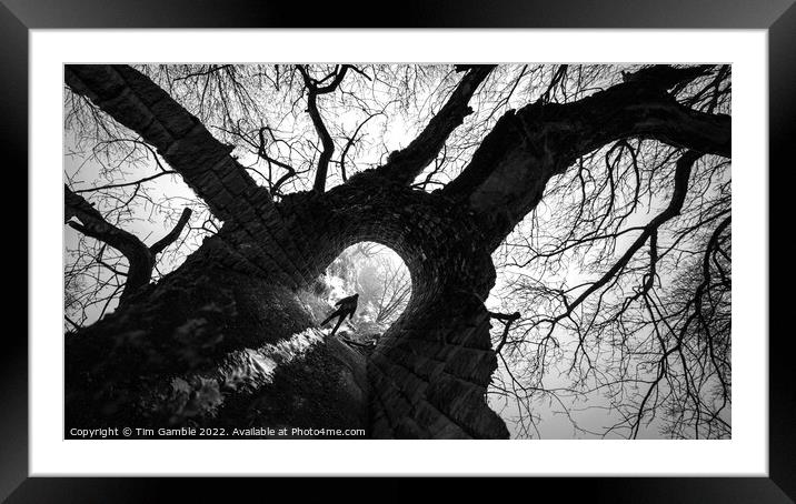Tree Tunnel Framed Mounted Print by Tim Gamble